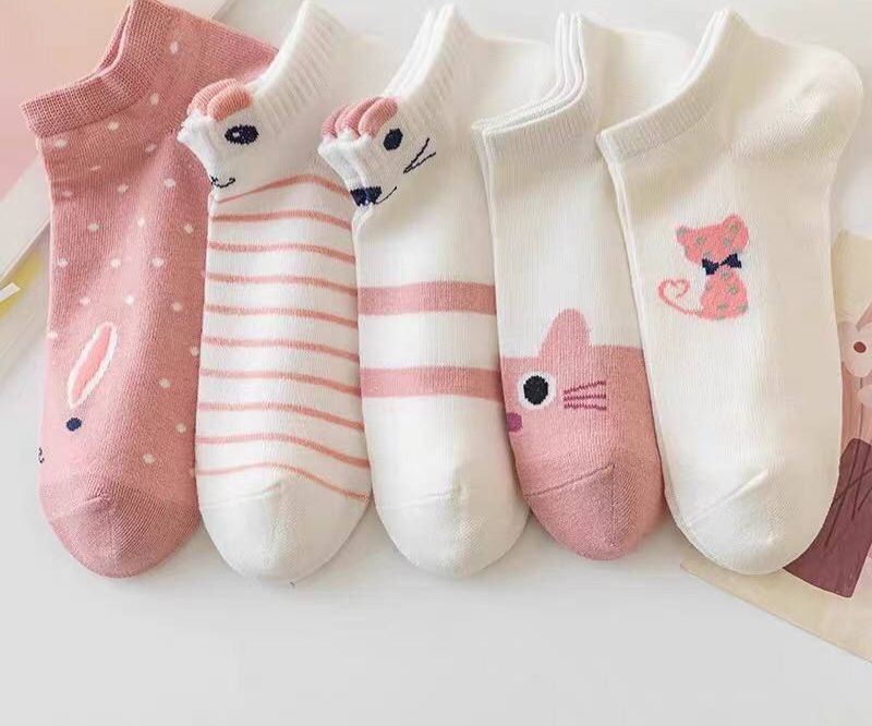 /public/uploads/photos/shares/New socks/IMG_20250926_135649_311.jpg